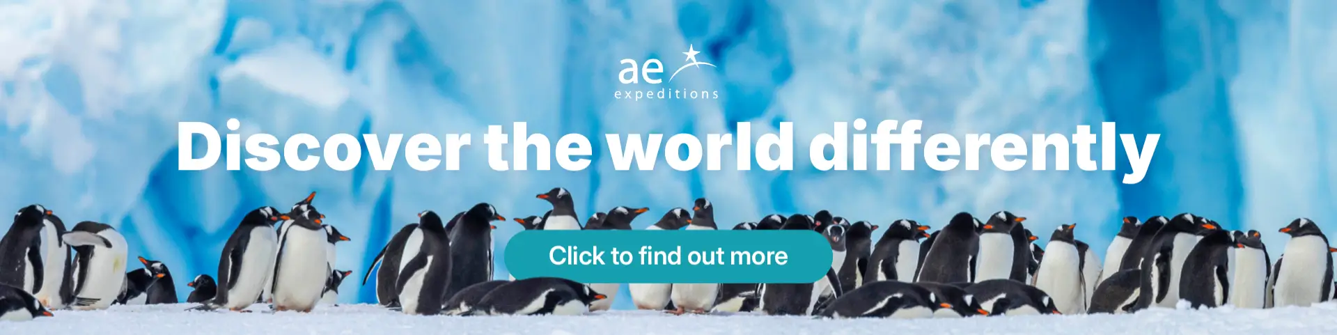 AE Expeditions - Blog