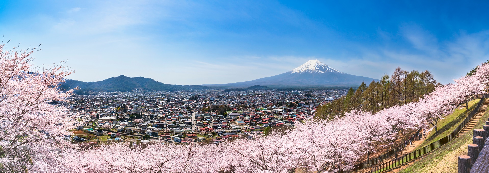 Ultimate Bucket List Cruises