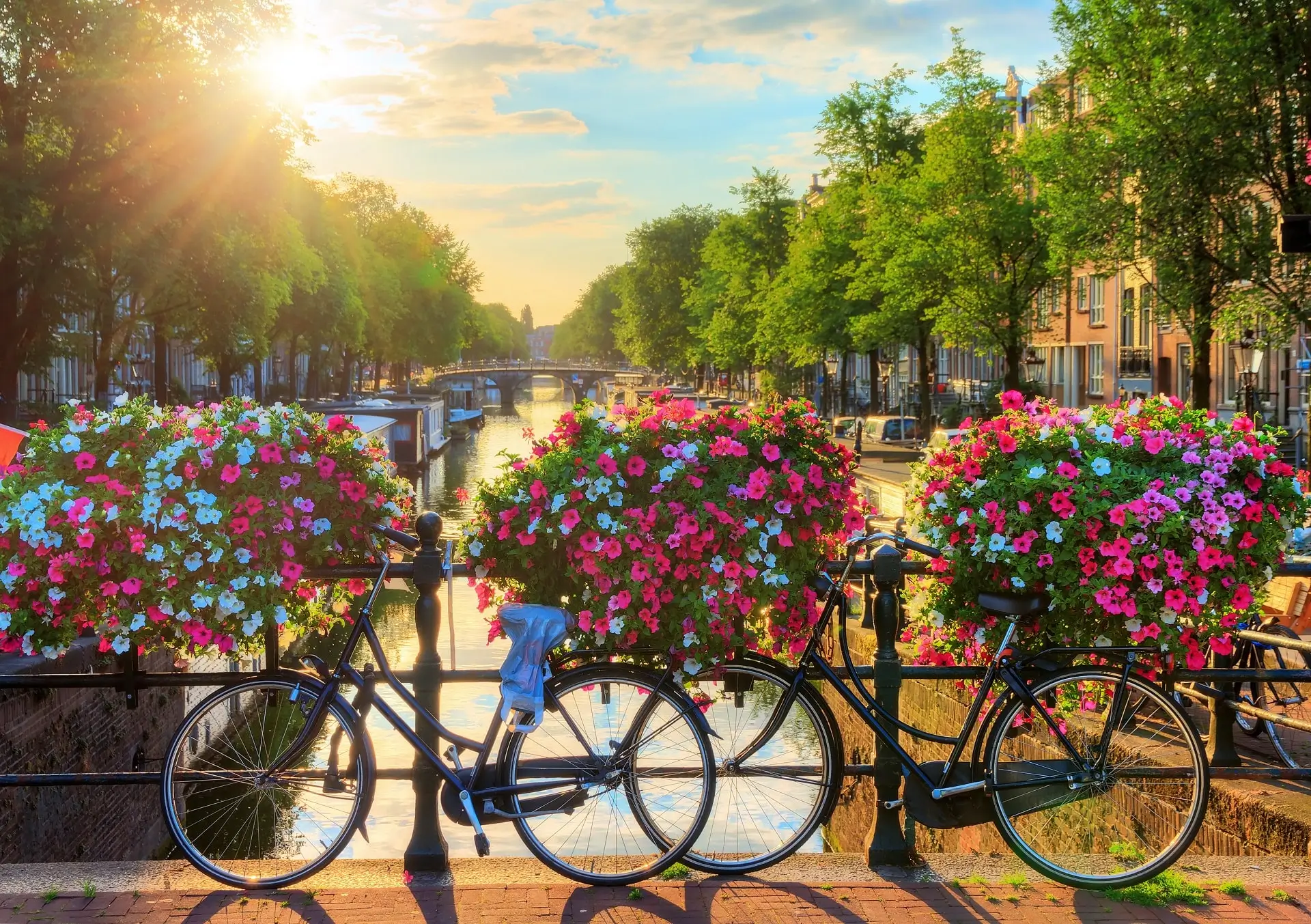 Amsterdam-Canal - 567
