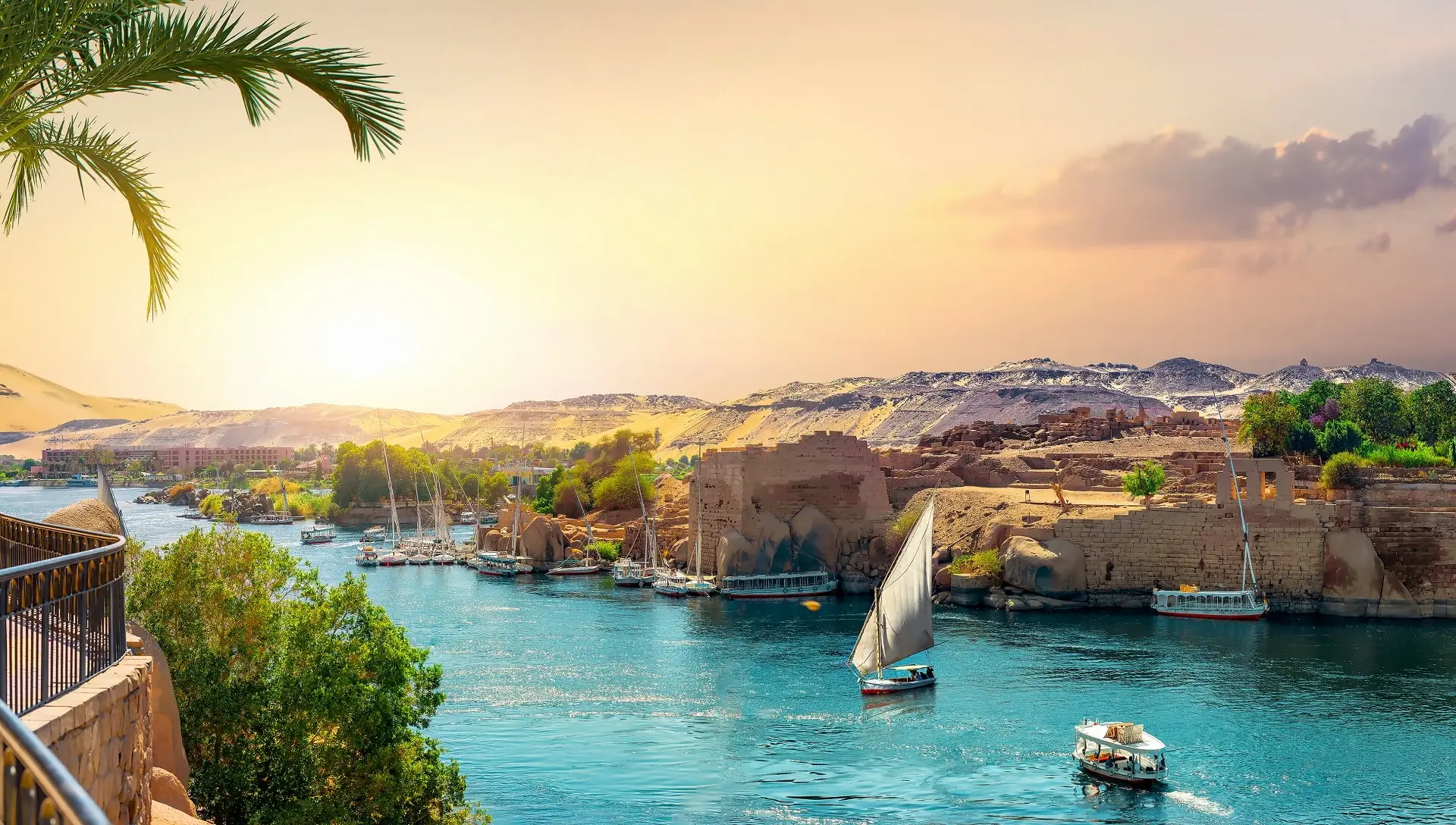 Aswan-River-Nile---6375982
