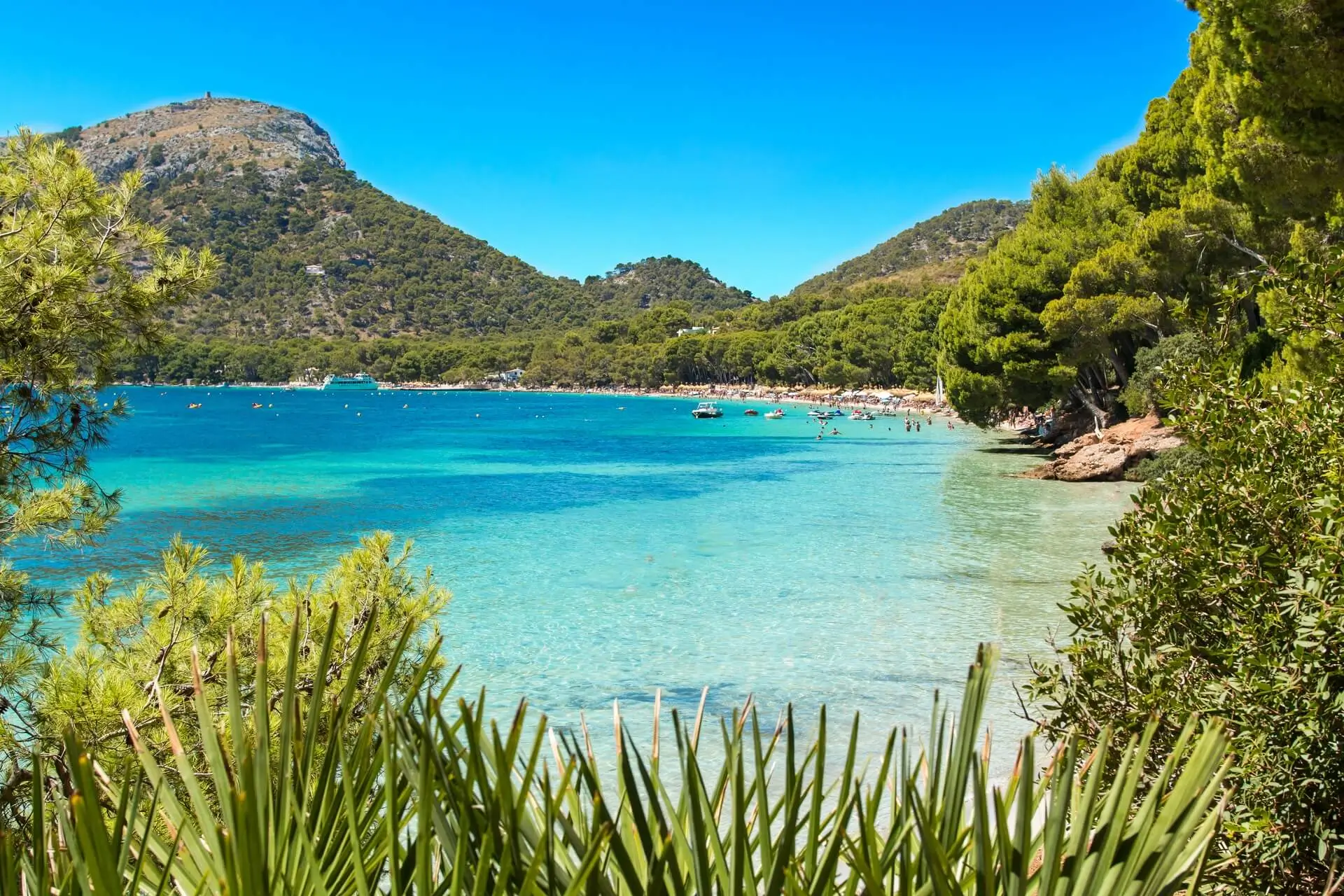 Palma Majorca - 2657293