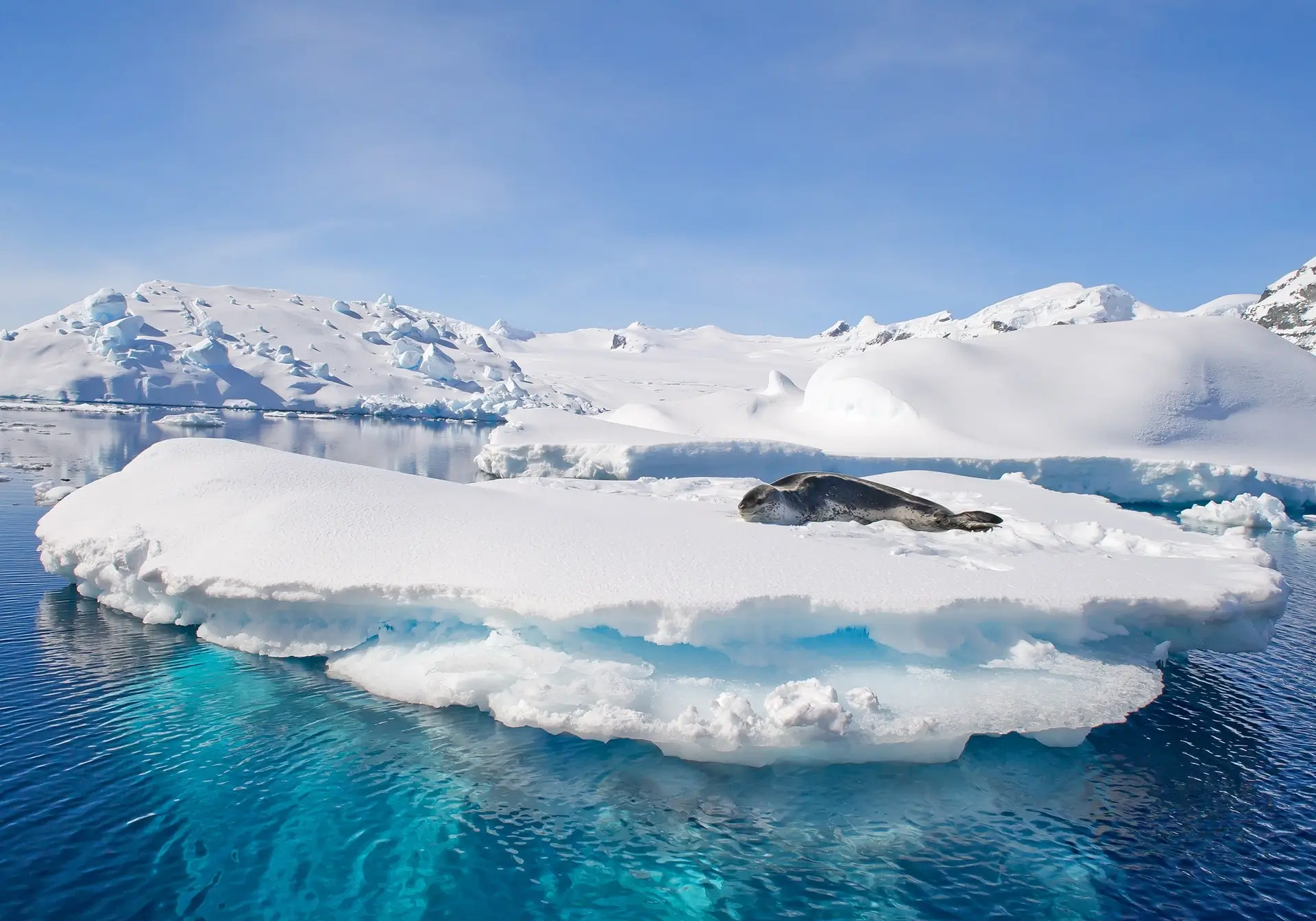Antarctic-Peninsula01---368729