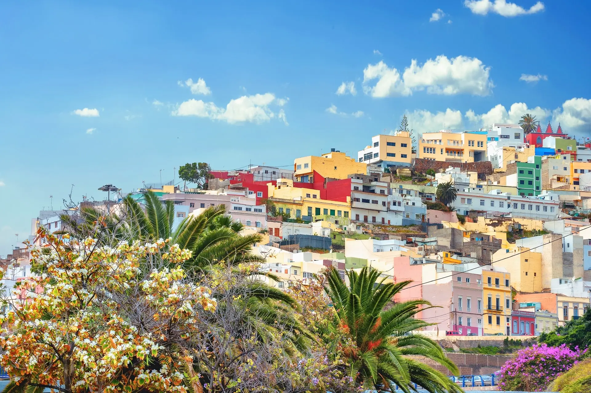 Las-Palmas-Gran-Canaria - 64363