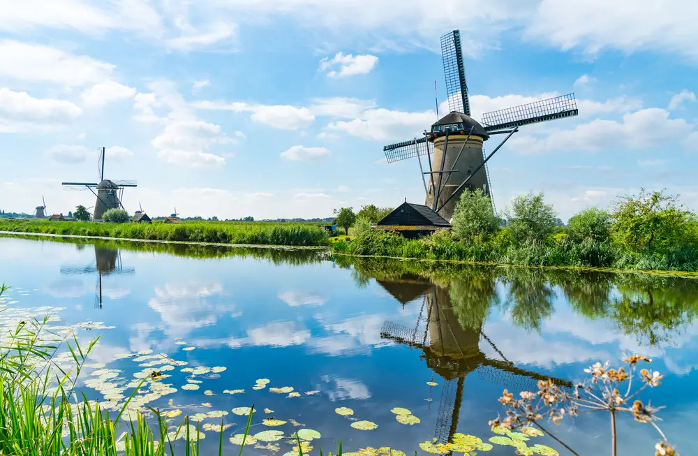 19Rotterdam_752568103