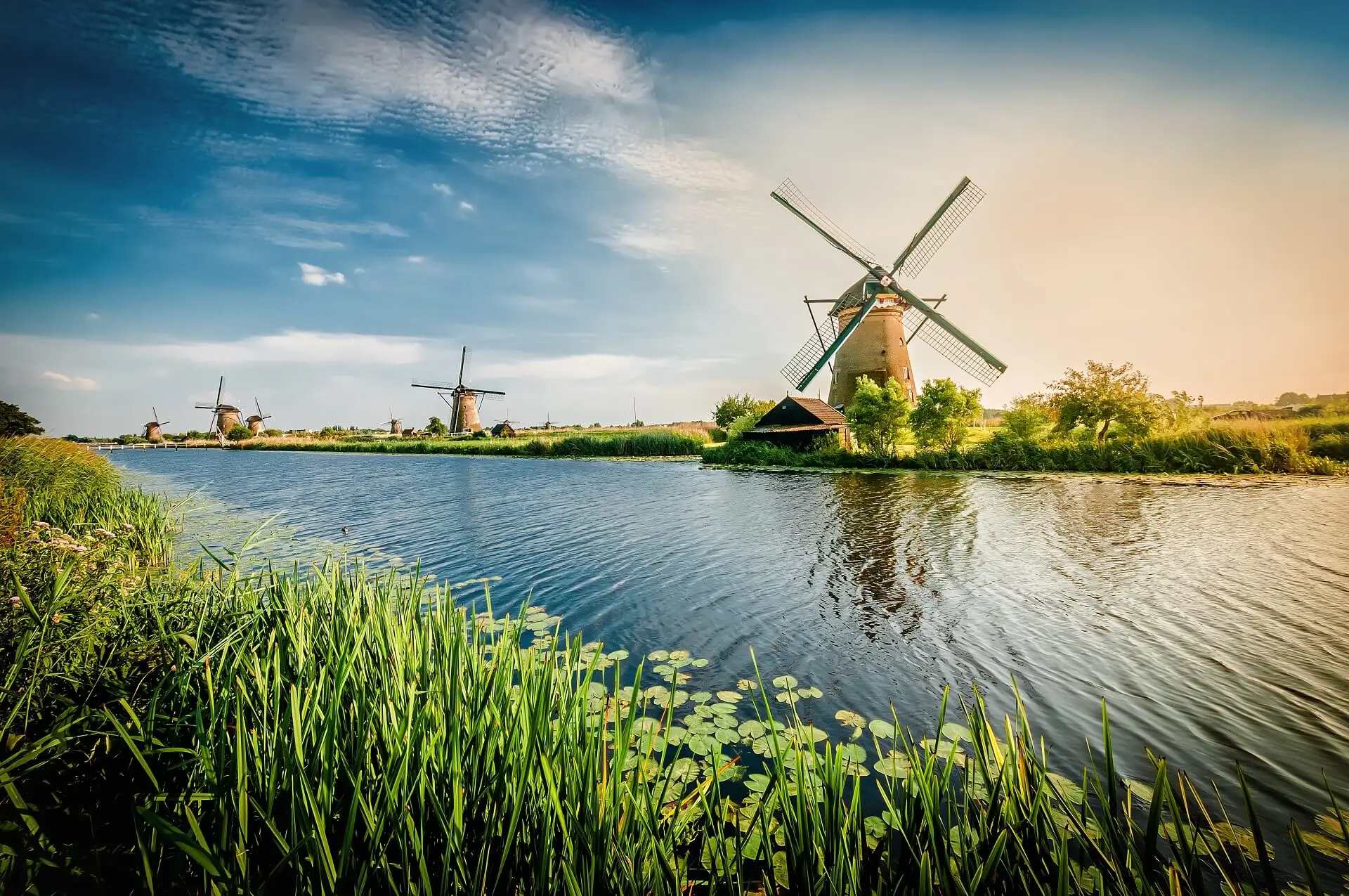 Windmills-Rotterdam-Netherlands - 548484