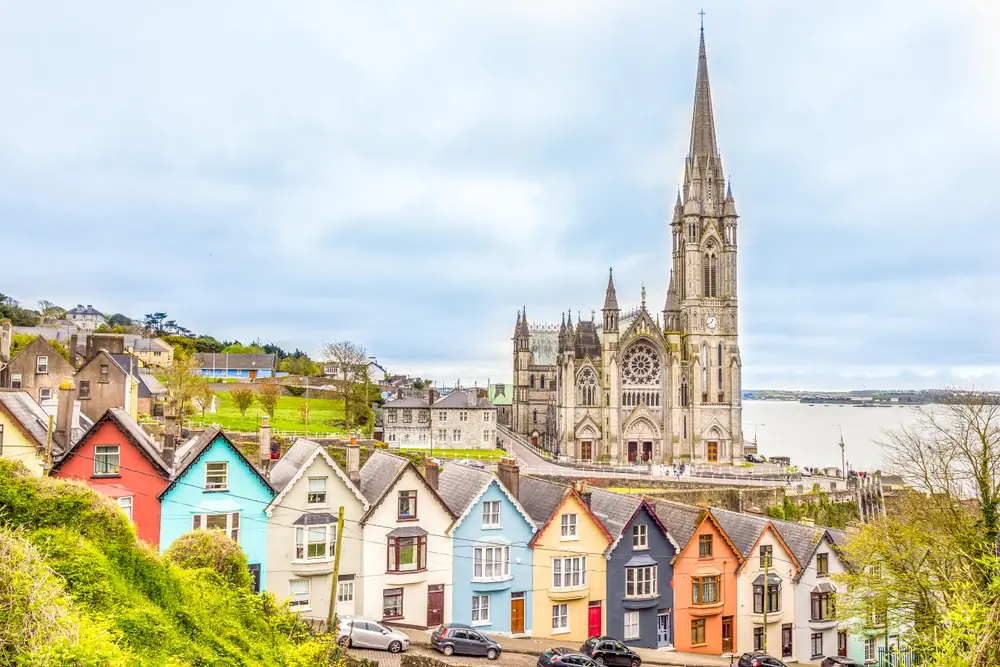 Cork1203990454