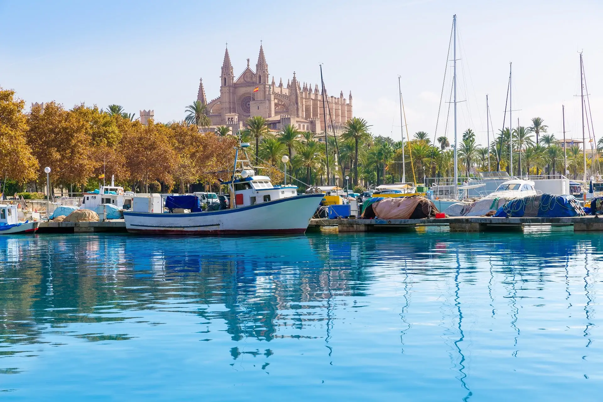 Palma-Harbour-Majorca - 473