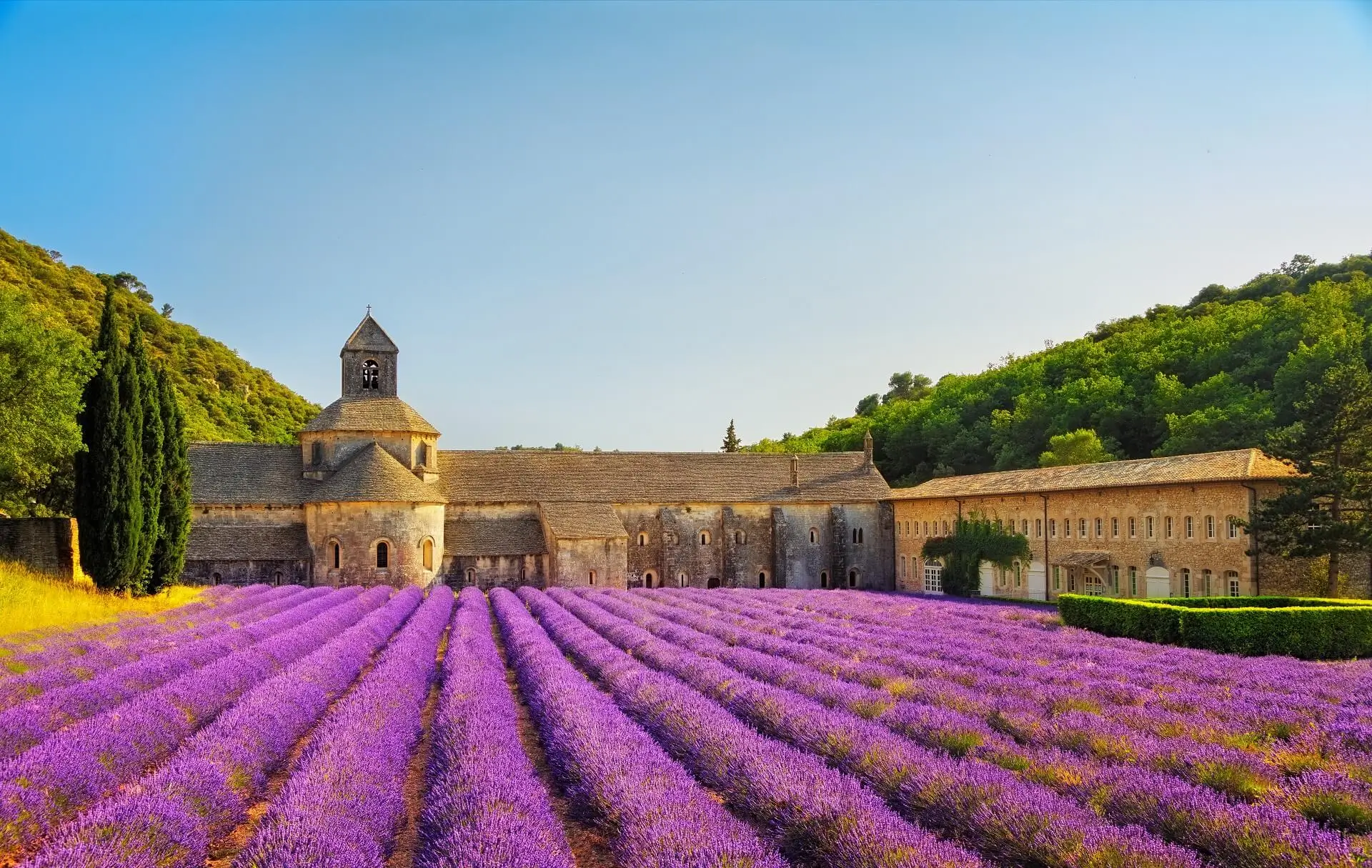 Provence-France1 - 6363