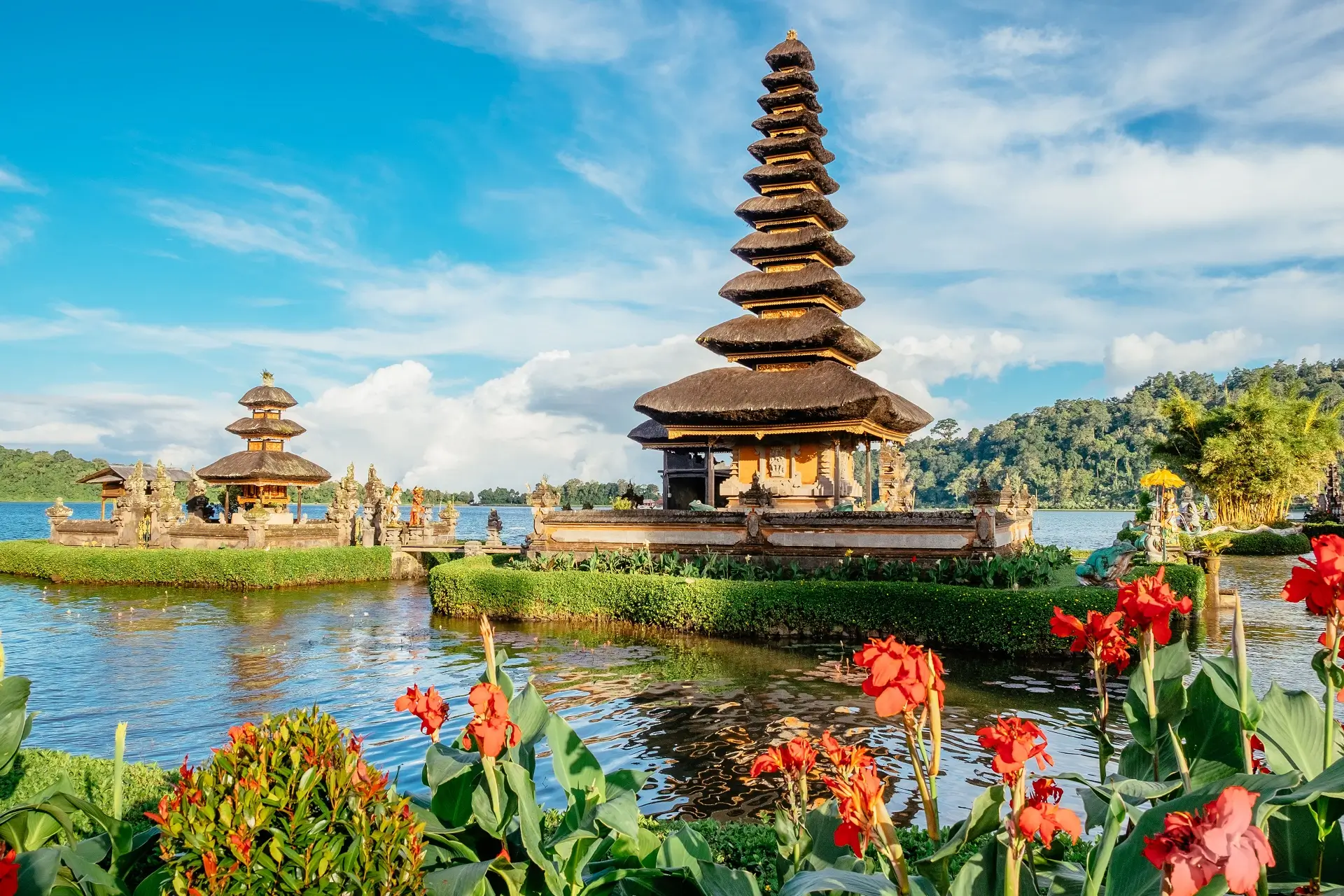 Bali1 - 47475