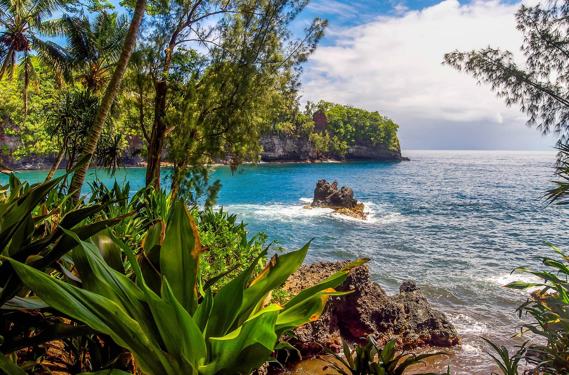 Hilo-Hawaii567896