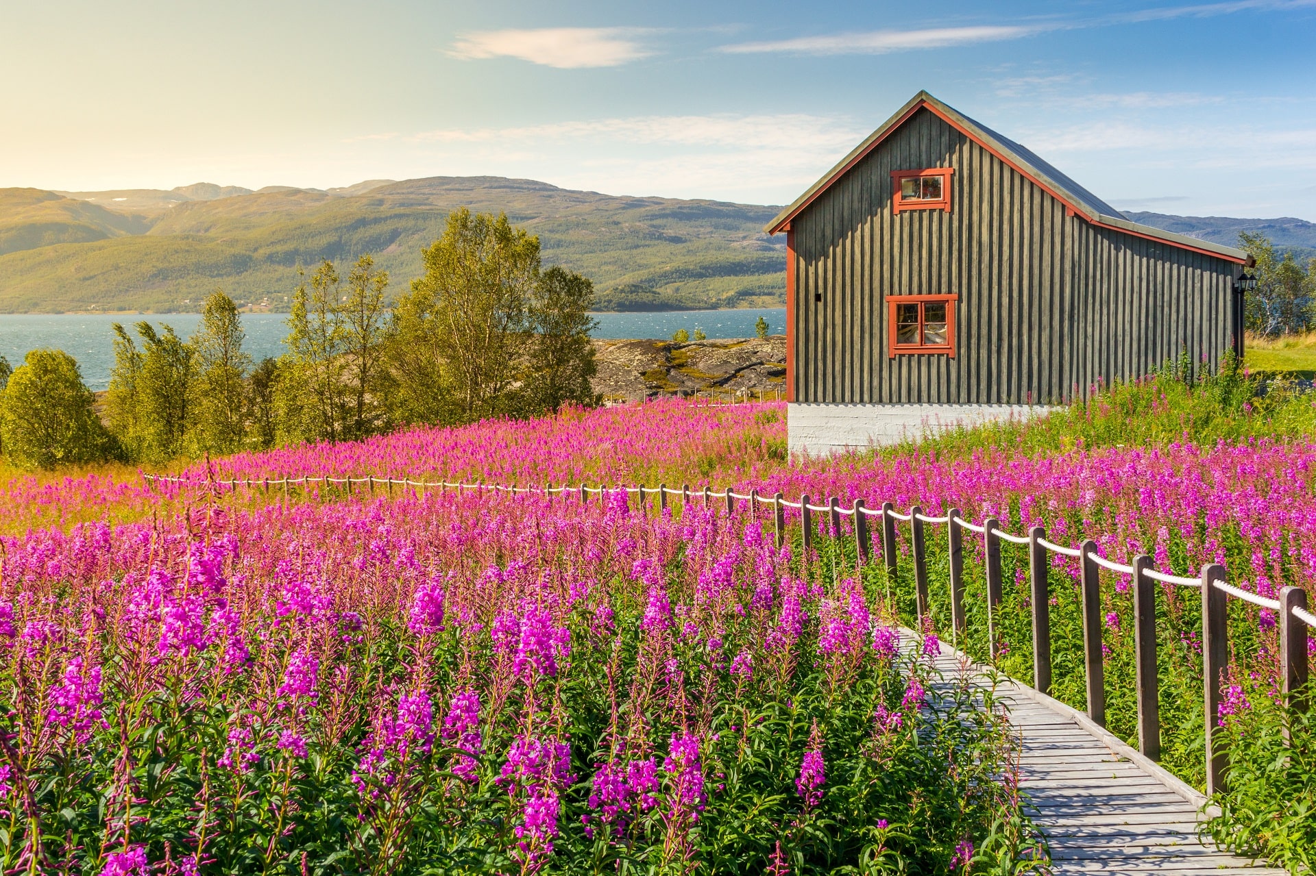 Alta-Norway5756858