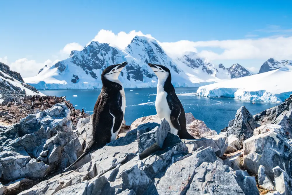 26Antarctica_1342057160