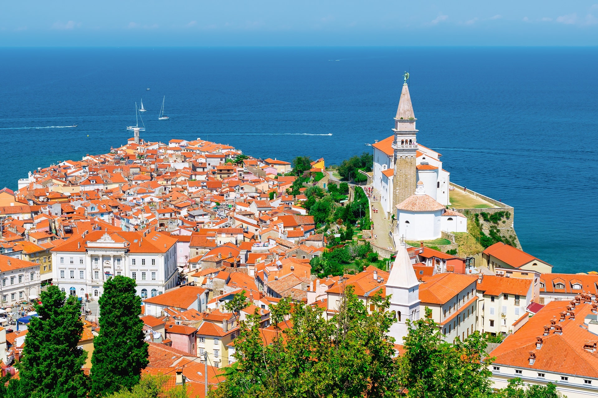 Koper-Slovenia43657