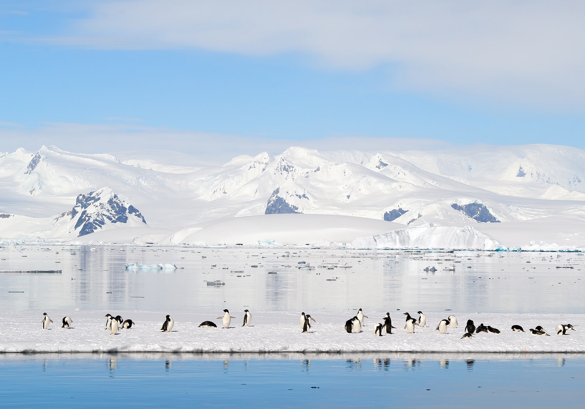 Antarctic-Peninsul57674a2