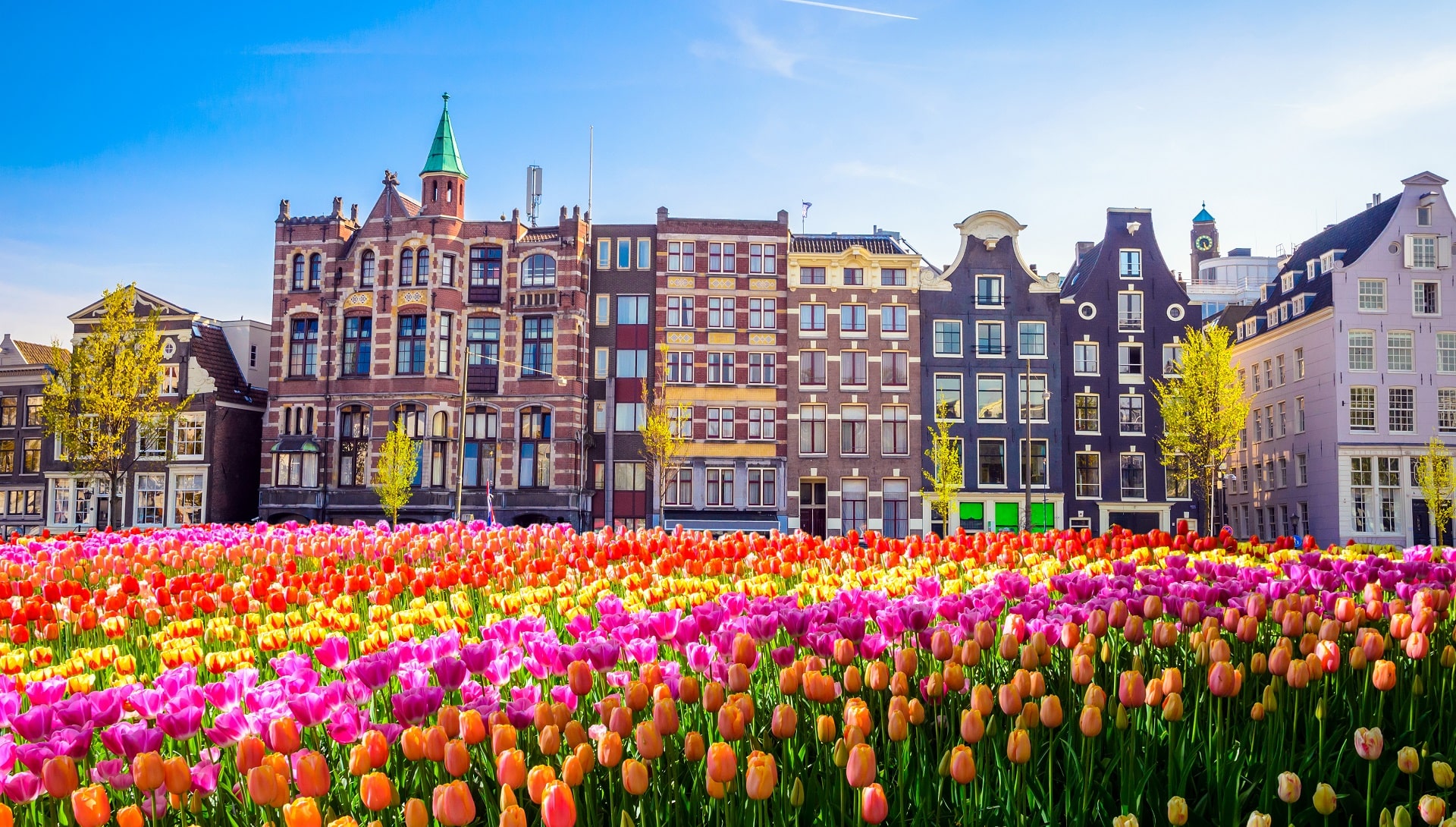 970878089Amsterdam-Tulips