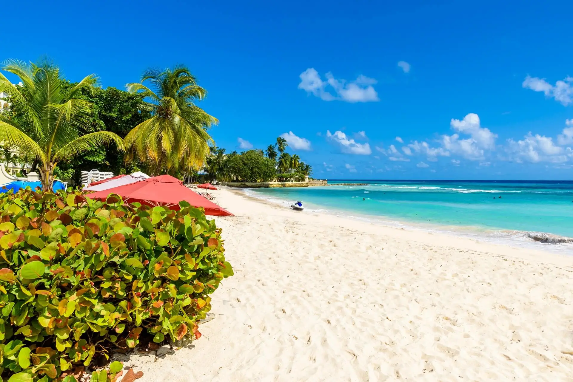 Barbados-Caribbean - 47457