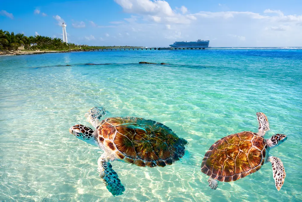 19Costa Maya_761573695