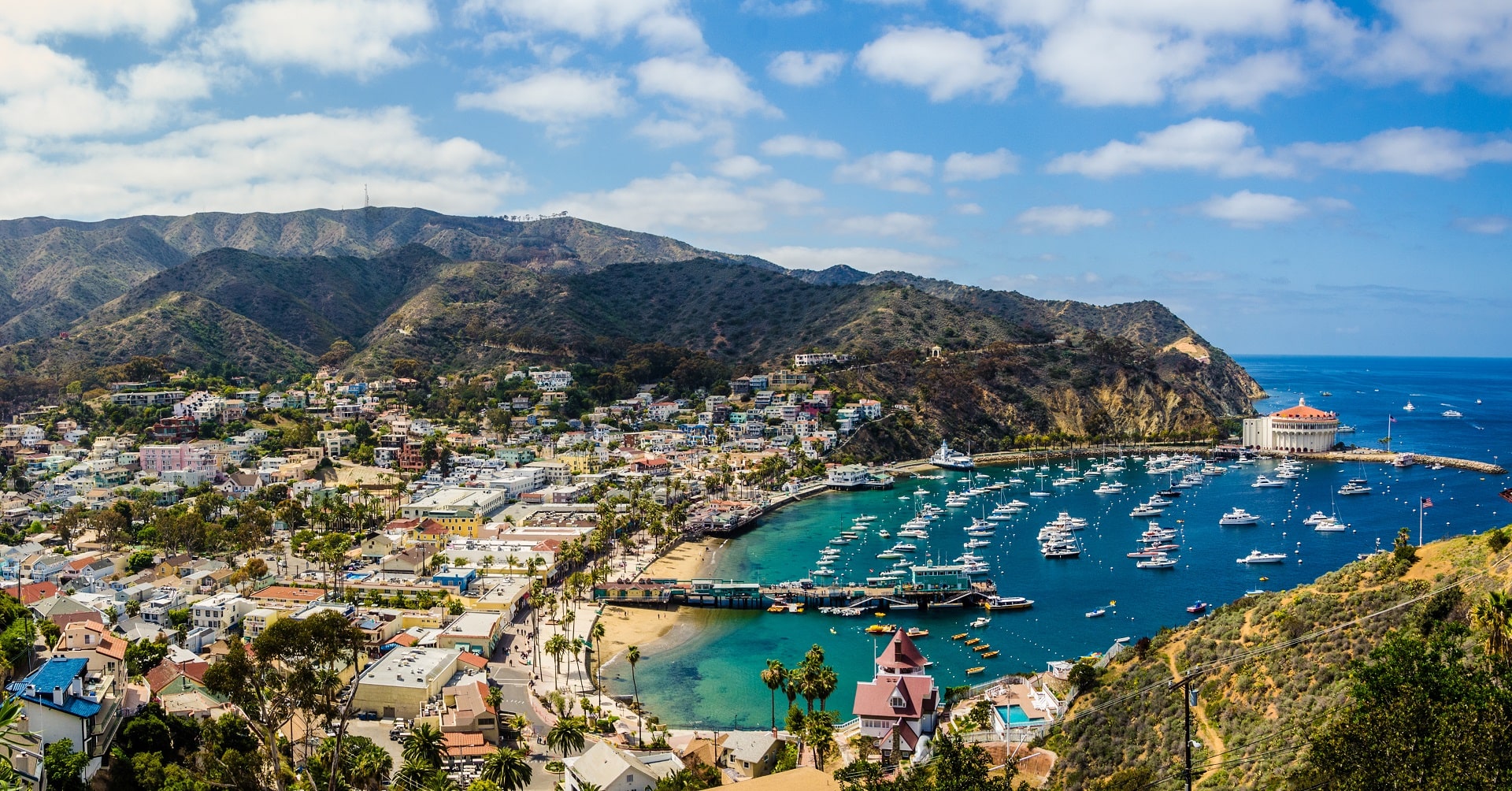 Catalina-Island-Californi54754a012