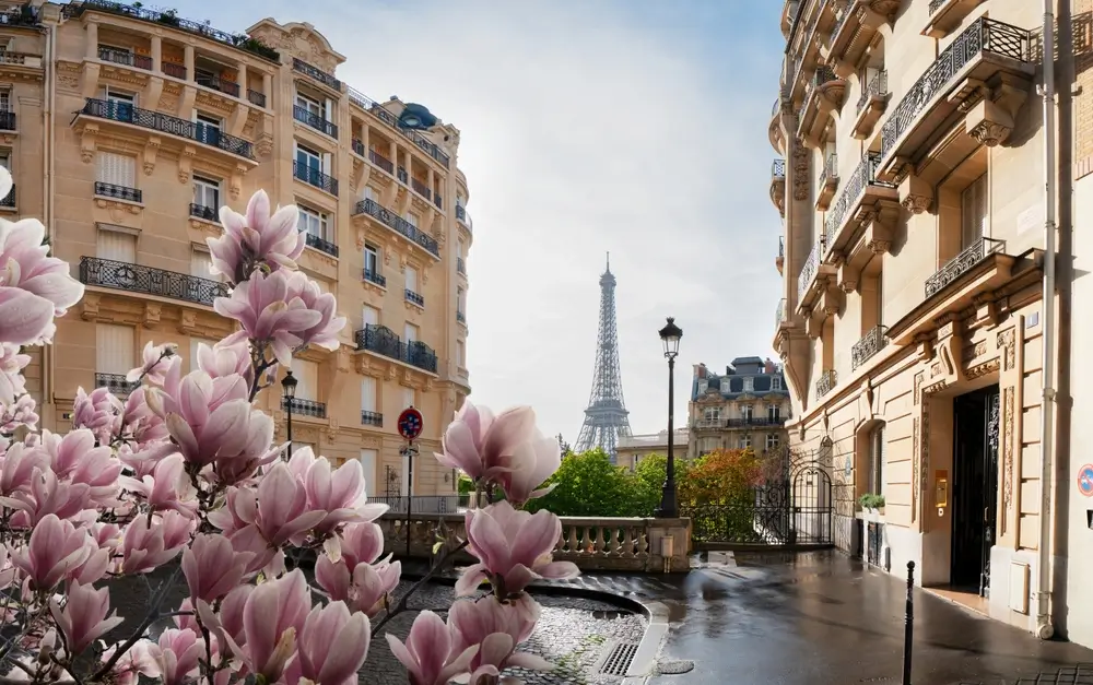 Paris_2612060523