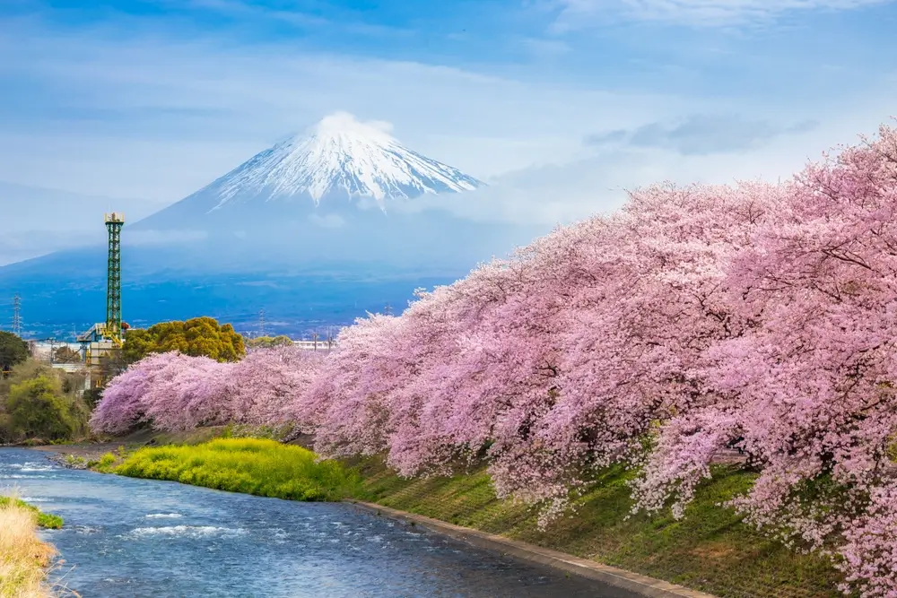 Tokyo2453998583