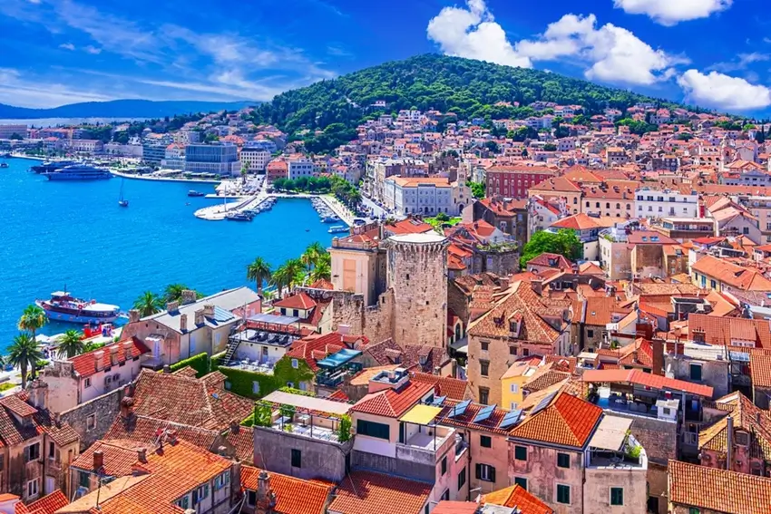 Split_2509452377-86597