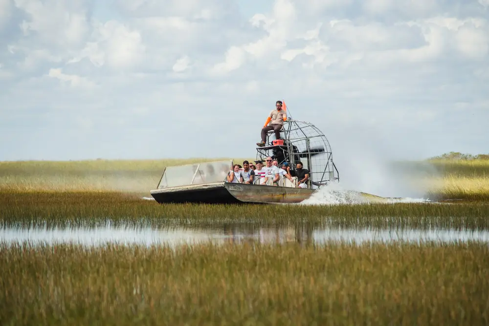 Everglades_1704177559