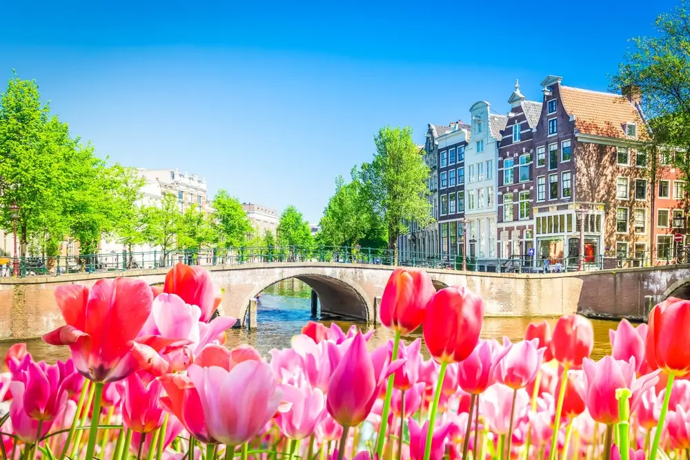 Amsterdam_2263179217