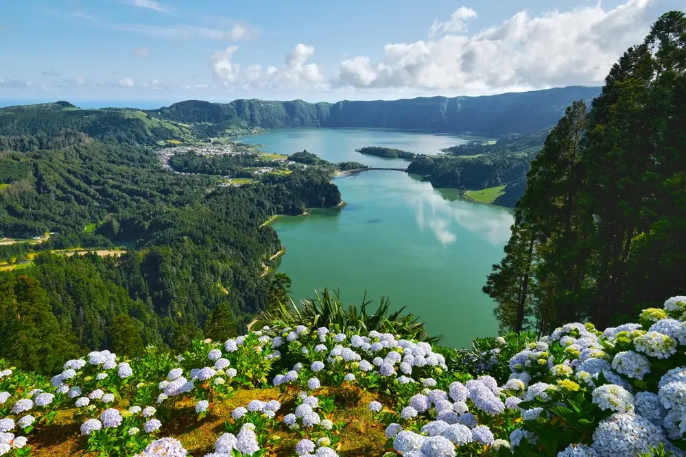 Ponta Delgada_2341699467