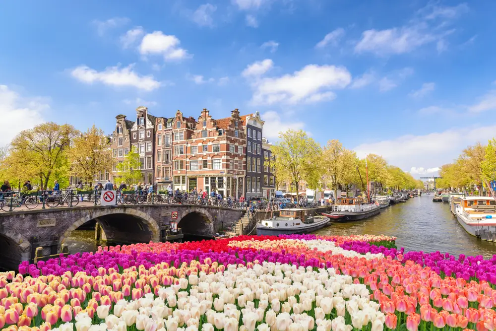 9Amsterdam1012458397