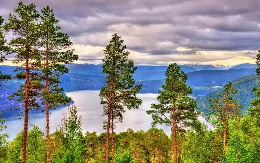 Nordfjord-634