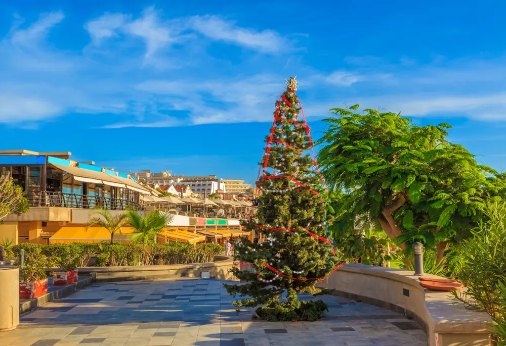 Canary islands christmas1116333716