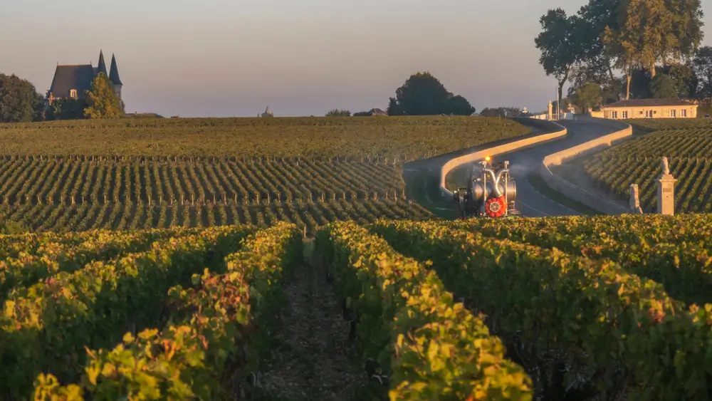 Pauillac1214987482