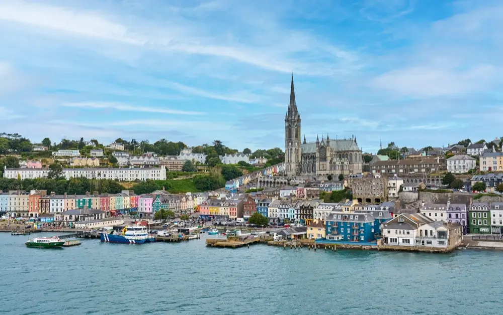 Cork_2231702351