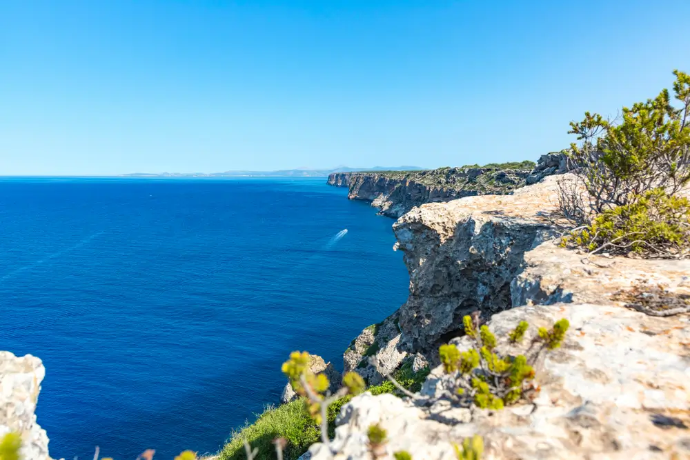 31Palma De Mallorca_1113610274