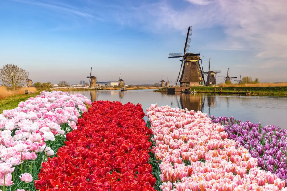 1Rotterdam, Netherlands_1296987199