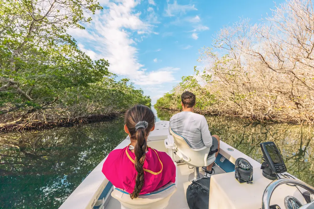 Florida Everglades_1808808676