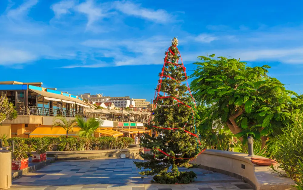 Tenerife Christmas_1116333716-5457