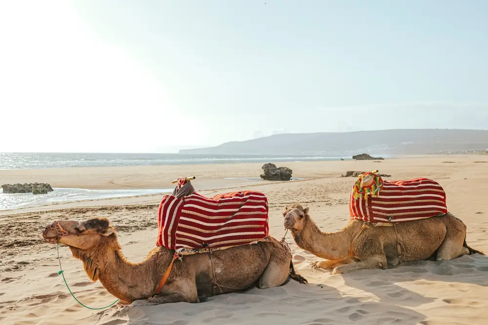 7Agadir_2320197529