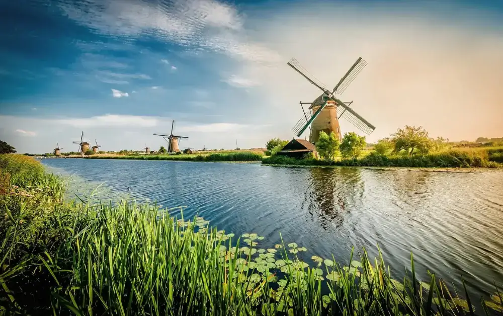 Rotterdam Windmills-7457