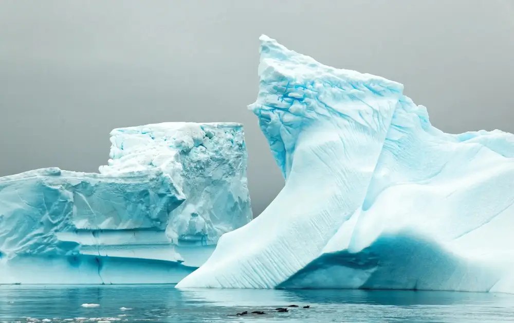 Antarctica-5458