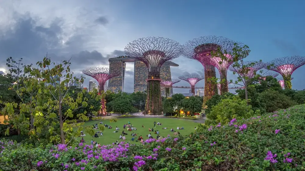Singapore_2561912171-45845