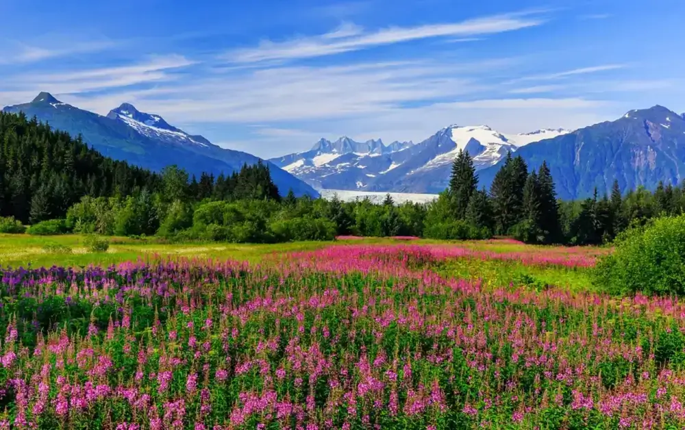 Juneau, Alaska 2-585658