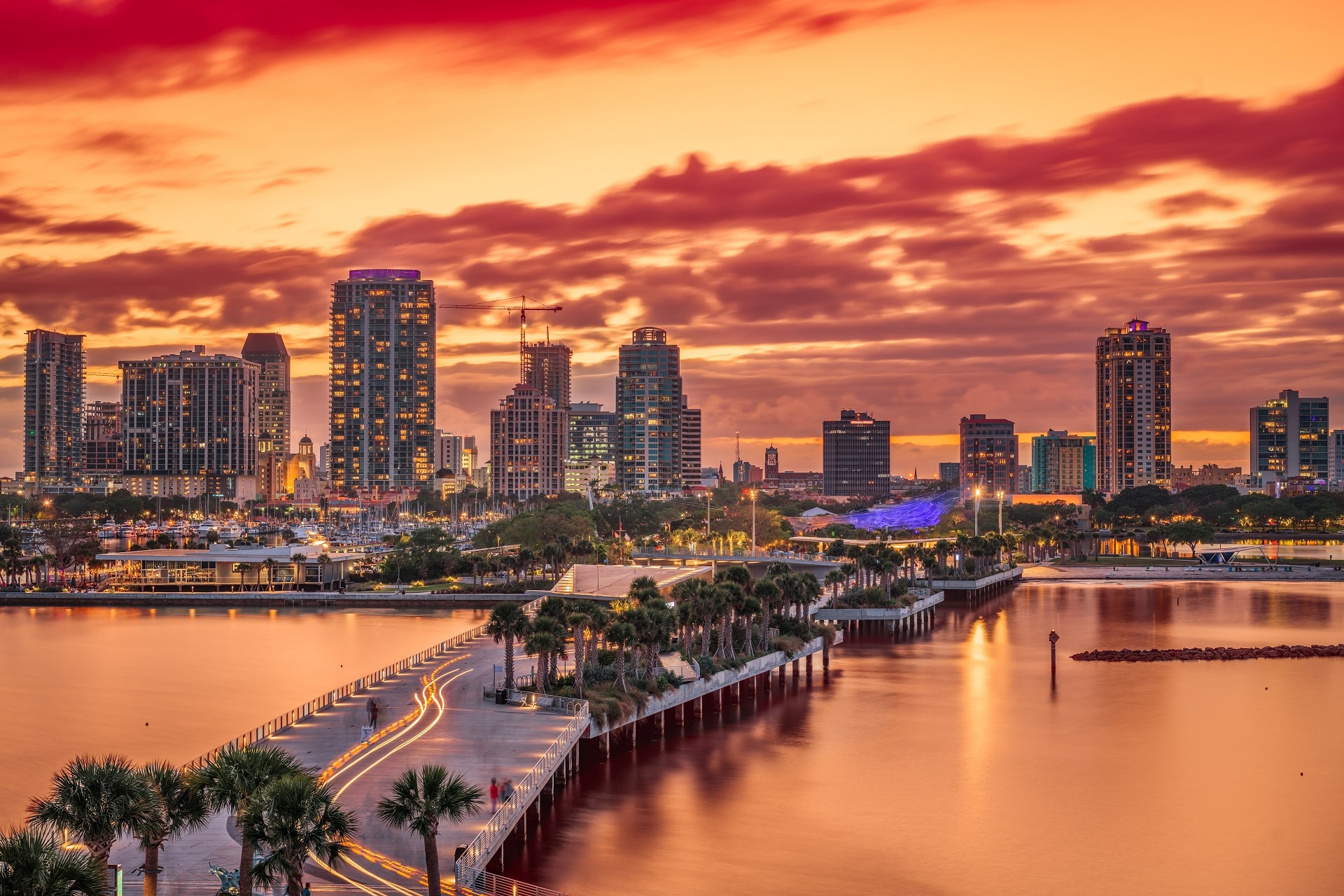 Tampa_2196433363-min