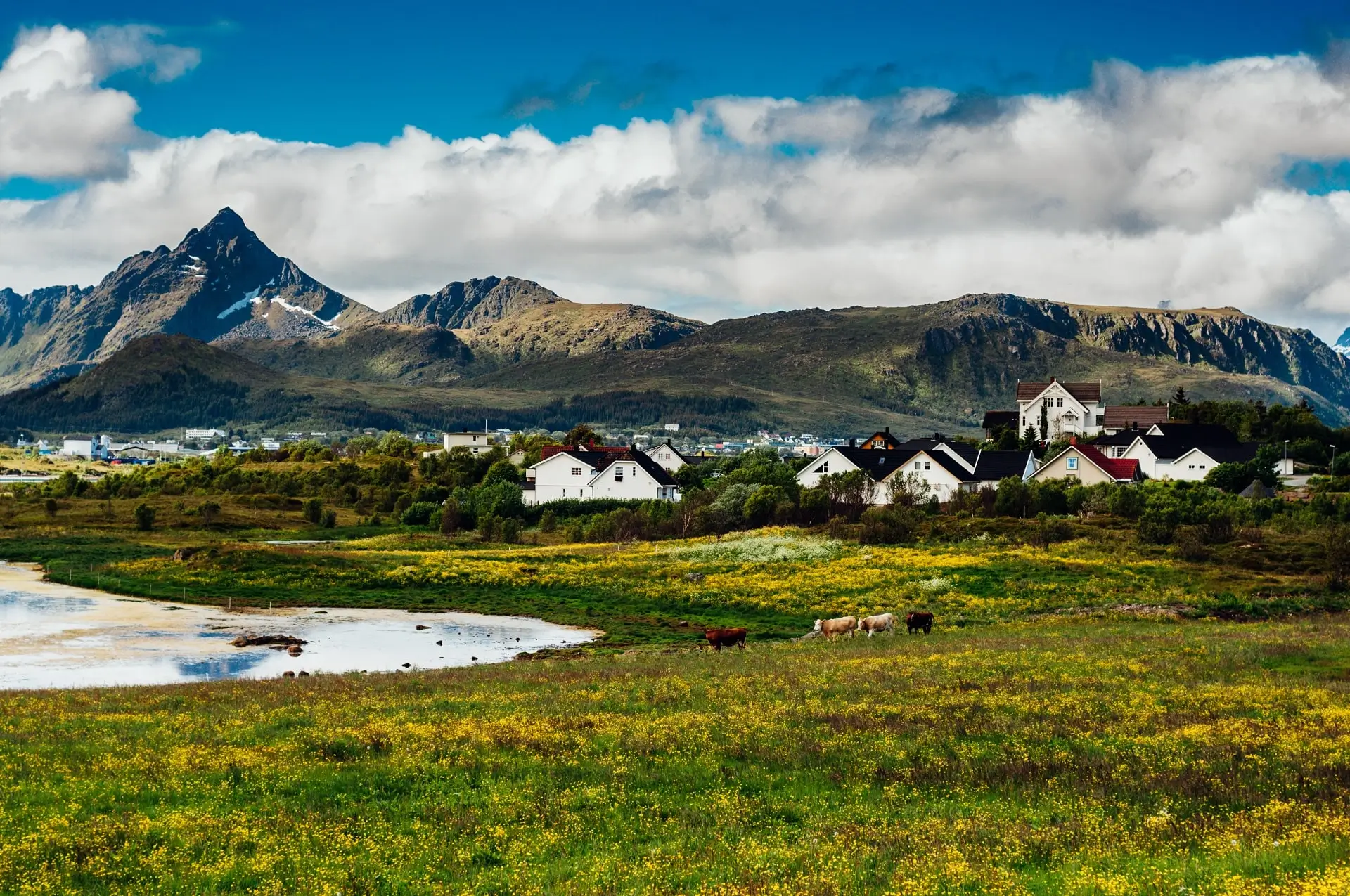 Leknes-Norway - 672948
