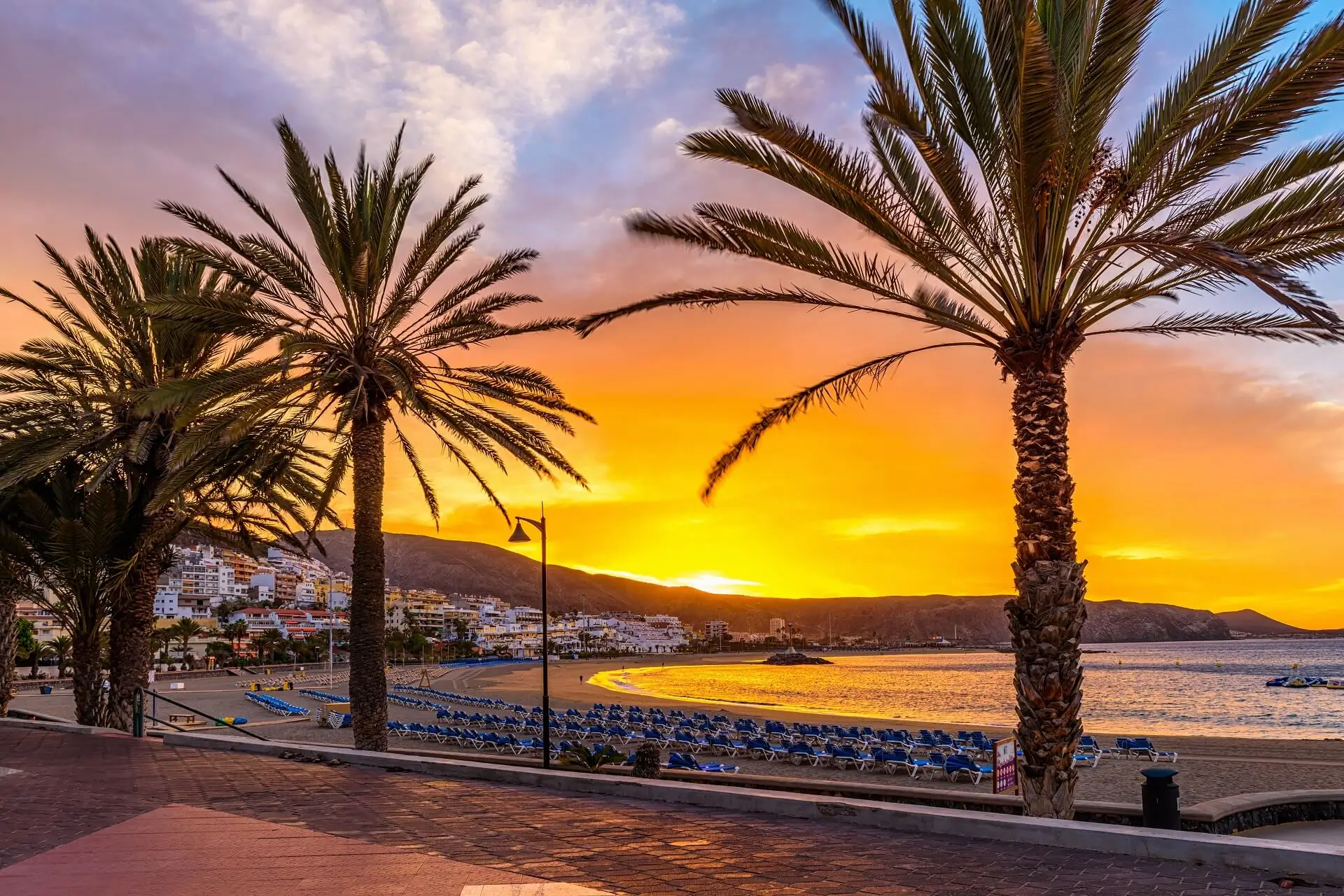 Playa-Vistas-Tenerife - 3523679